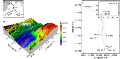 Distribution and Succession of Microbial Communities Along the Dispersal Pathway of Hydrothermal Plumes on the Southwest Indian Ridge